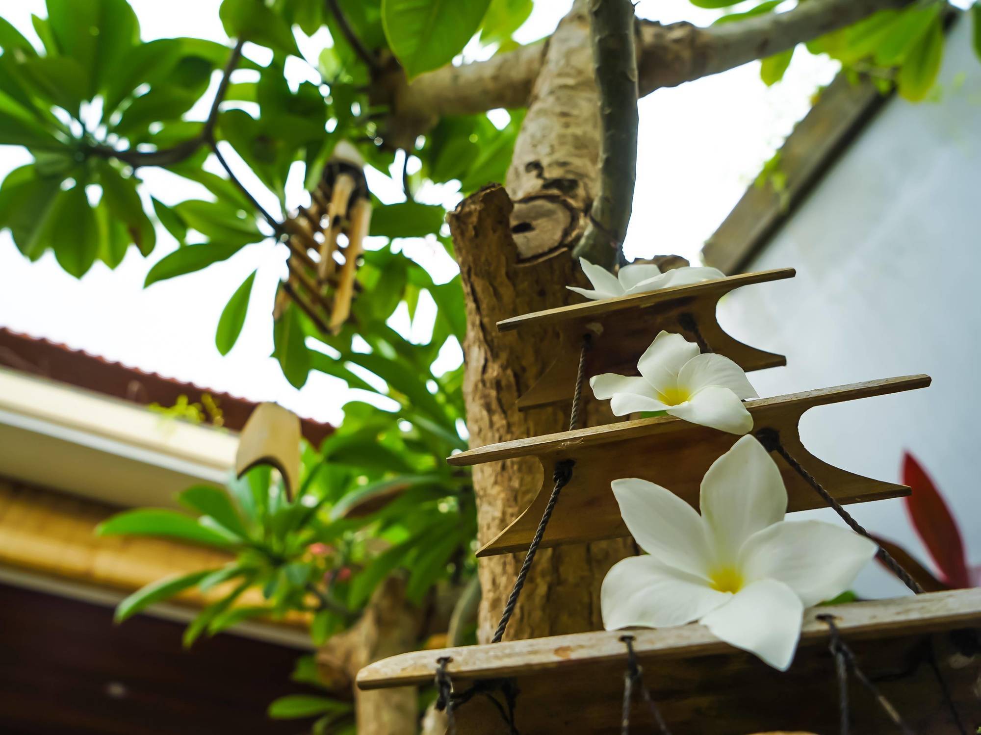 Masbro Art Villas スミニャック エクステリア 写真